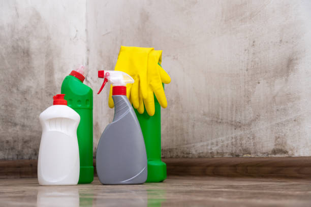 Why You Should Choose Our Mold Remediation Services in Oroville East, CA